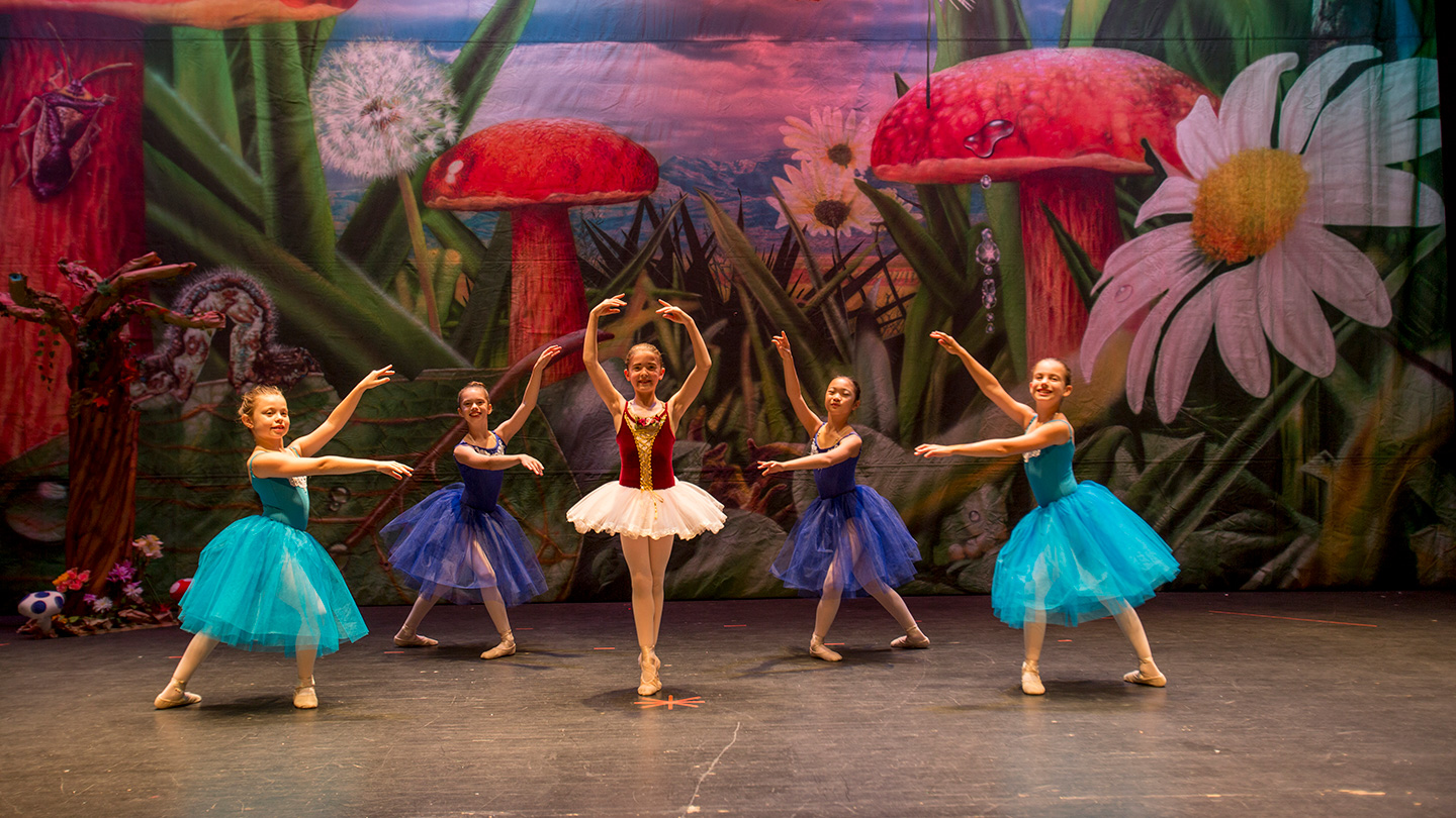 Spring concerts gallery image